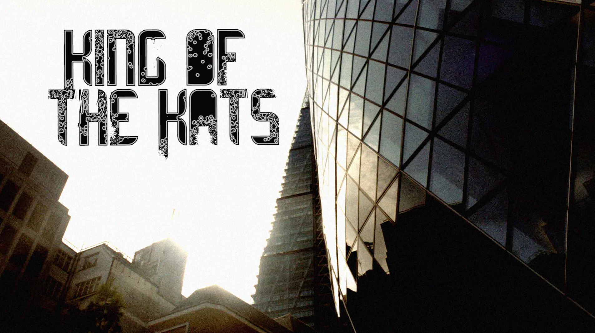 King of the Katz Title shot