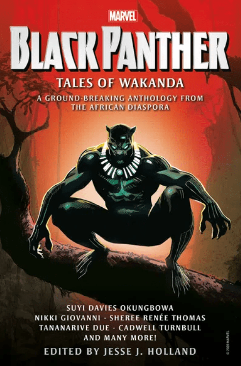 Cover of Black Panther - Tales of Wakanda